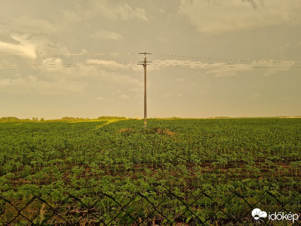 Észlelési fényképek