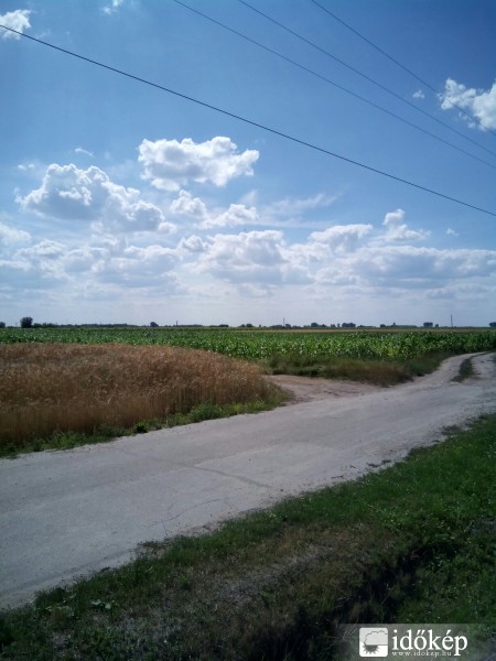 Észlelési fényképek