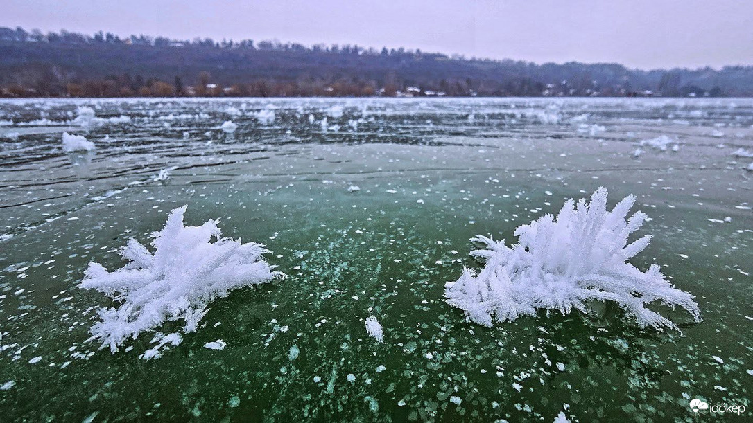 Balatoni jégvirág