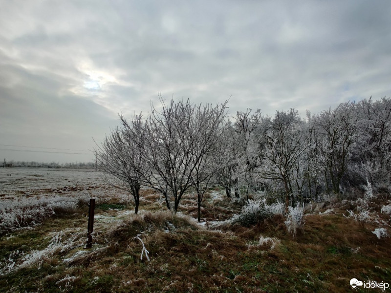 Észlelési fényképek