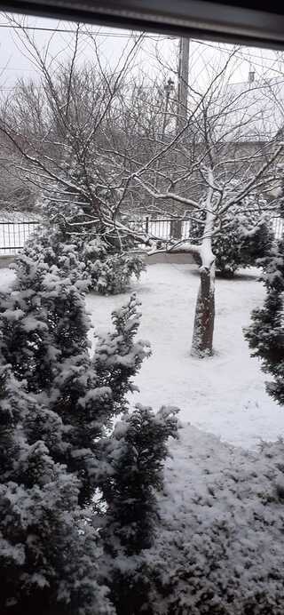 Fotó: Szarkáné Novák Csilla