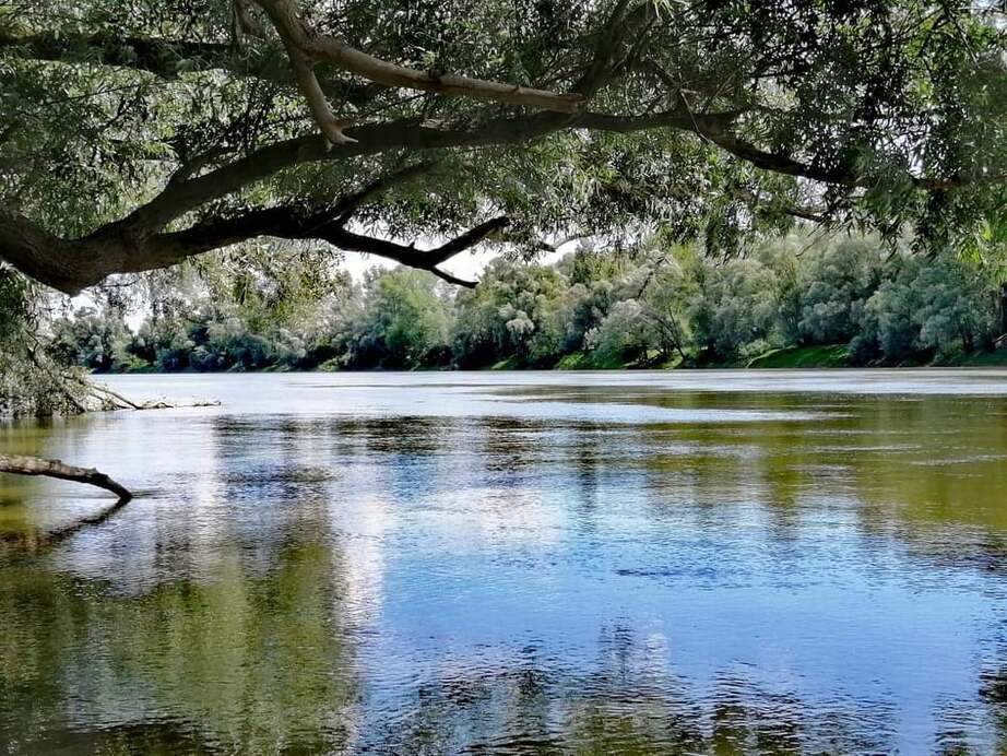 A Dráva régebben - Fotó: Halavuk Zsuzsa