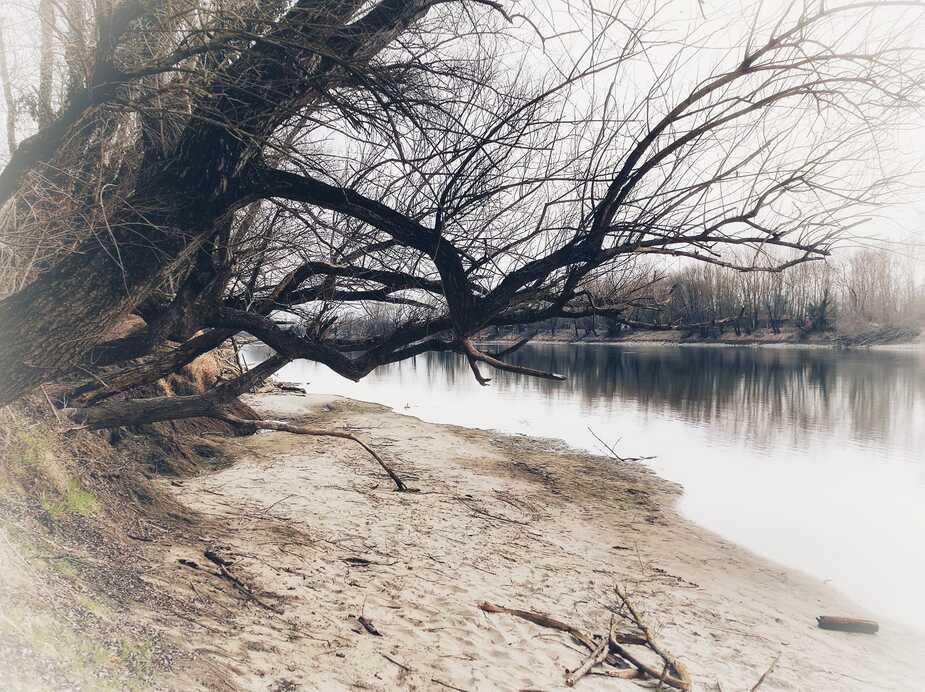 Alig van víz a Drávában - Fotó: Halavuk Zsuzsa