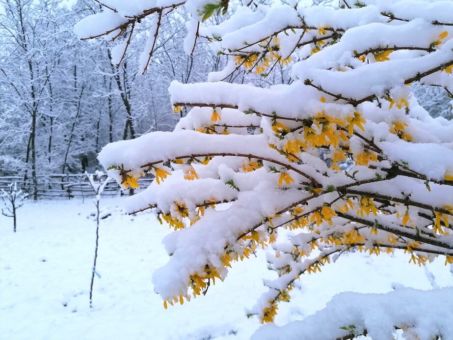 Fotó: Prunner Hédi