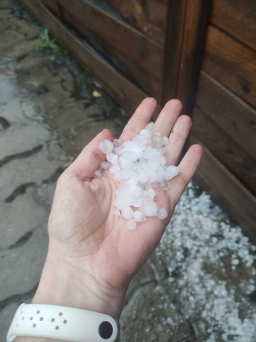 Fotó: Batár-Cserna Gyöngyi