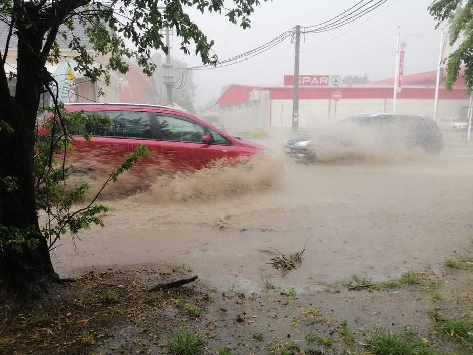Tommy John Freeman fotója