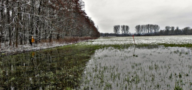 Takács Ákos fotója