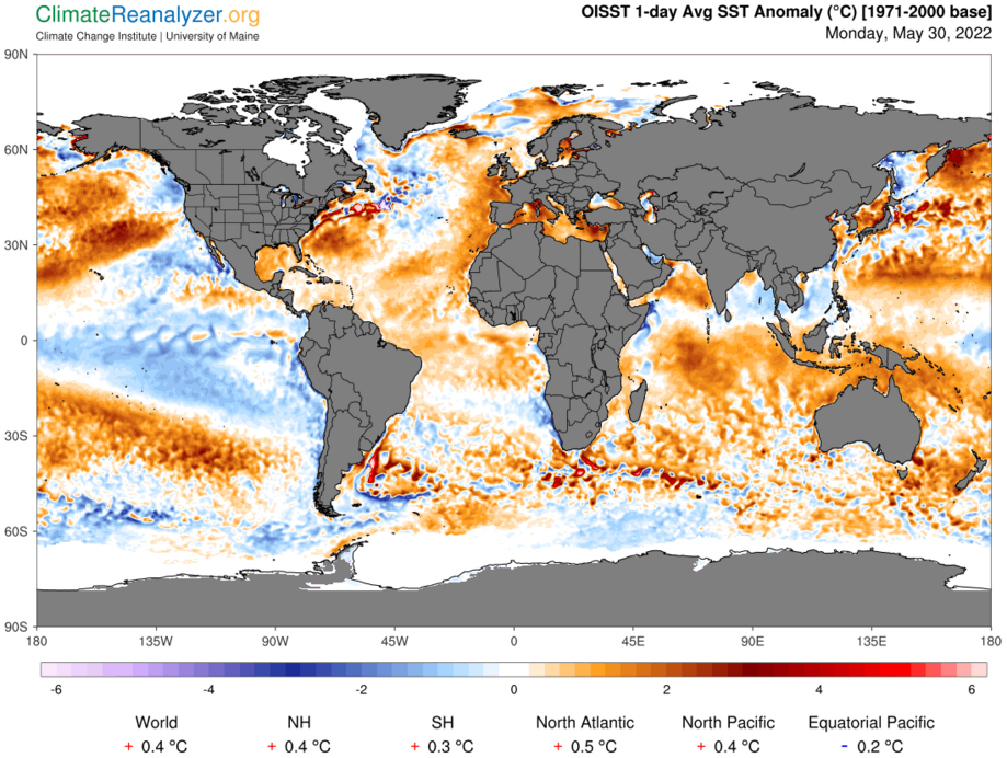 Tengerfelszín hőm. anom. - Forrás: ClimateReanalyzer.org