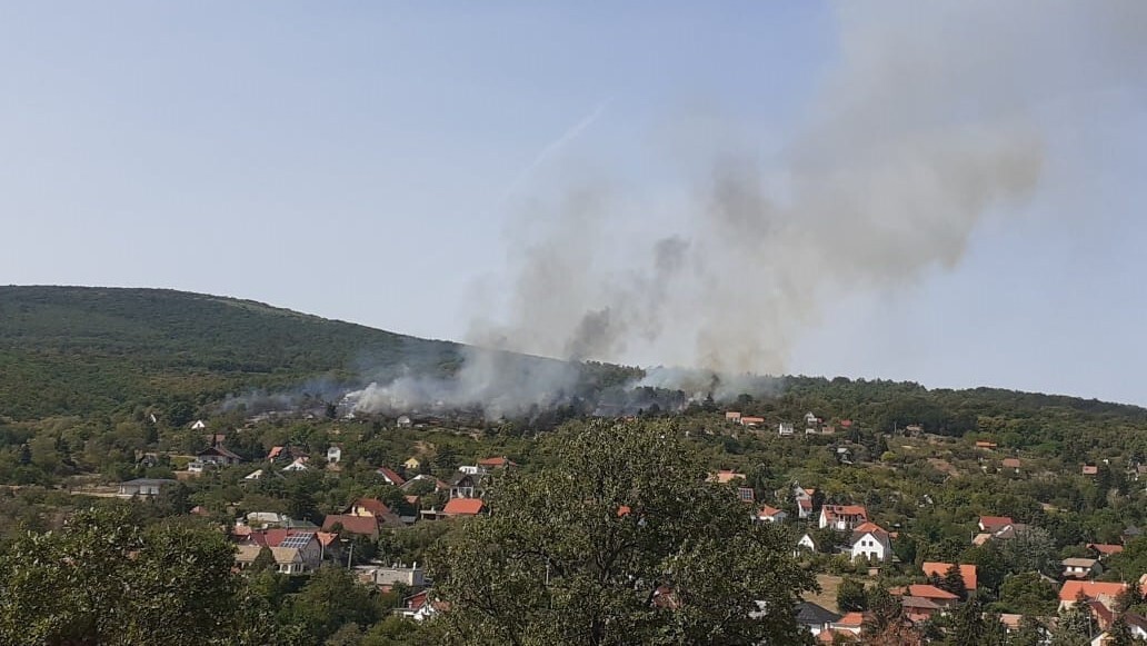 Fotó: Károly Antonella