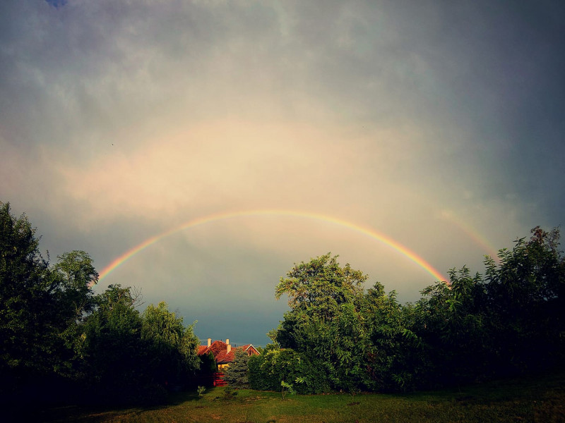 Fotó: Serfőző Mónika 09.09.