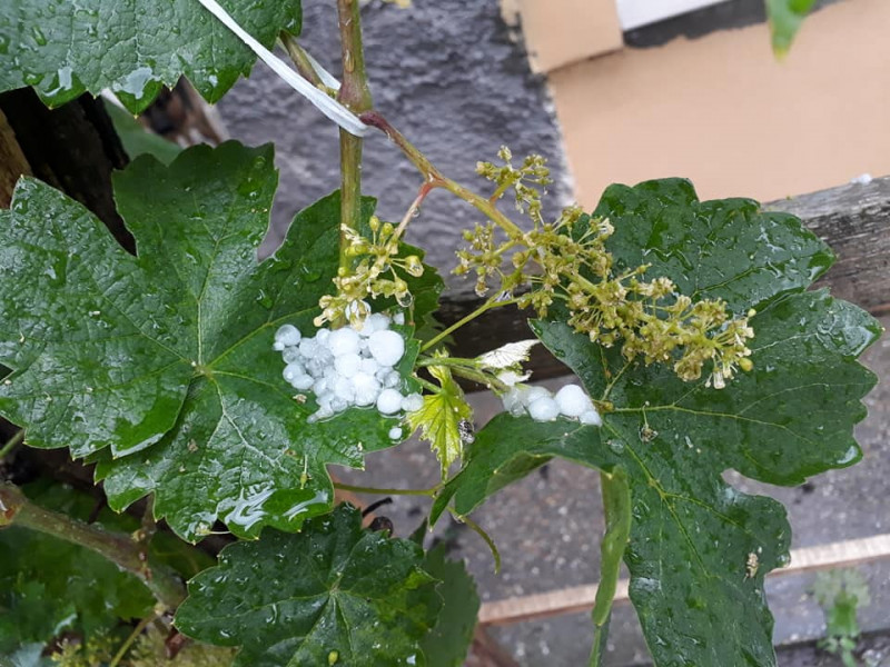 Varga-Ruff Szilvia fotója 06.03.