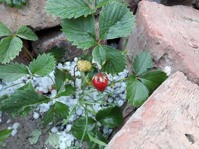 Varga-Ruff Szilvia fotója 06.03.