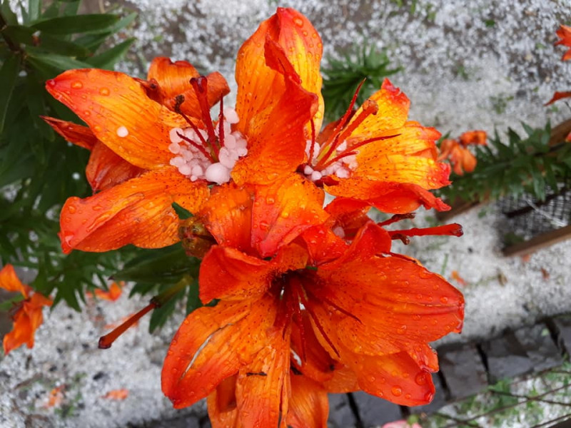 Varga-Ruff Szilvia fotója 06.03.