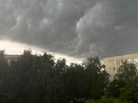 Gyula