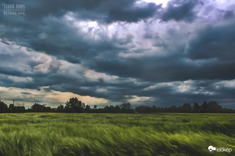 Észlelési fényképek