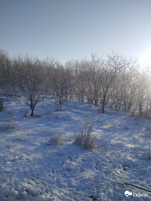 Észlelési fényképek