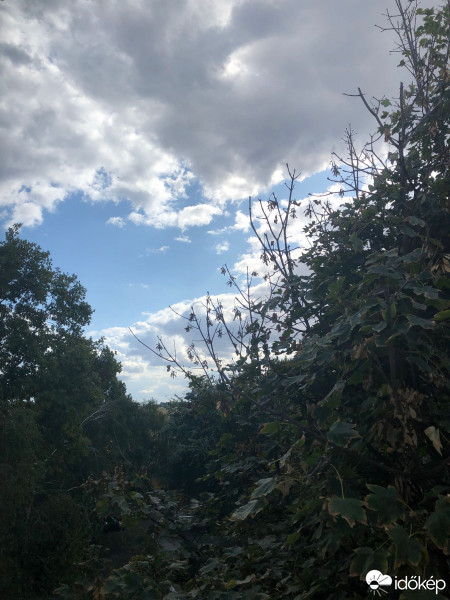 Észlelési fényképek