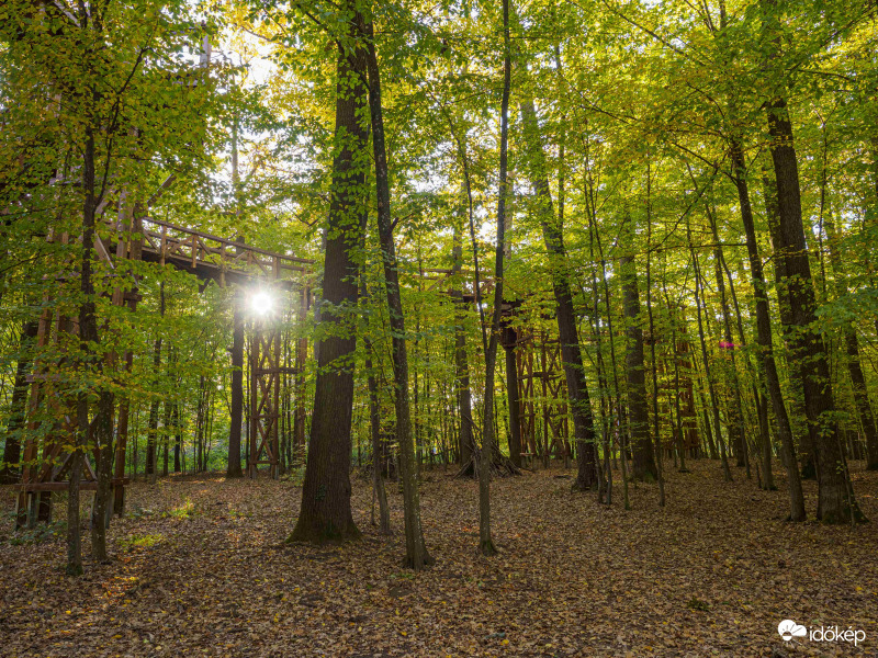 Kaszói lombkorona tanösvény