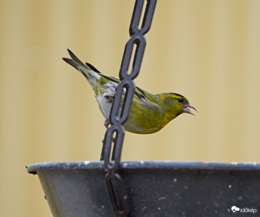 Nem csak eszek, iszok is