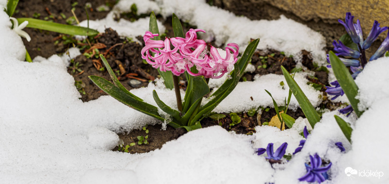Havas március vége