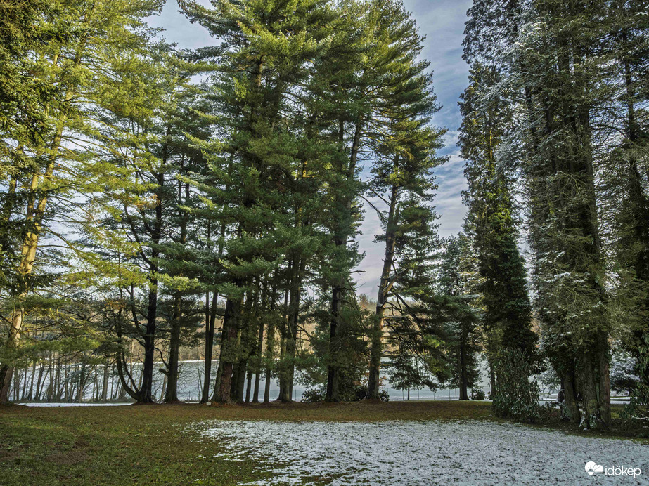 Január vége az arborétumban