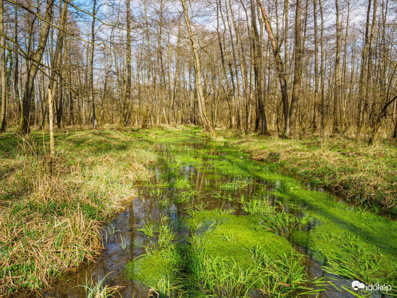 A tavasz első napja