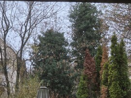 Budapest XII.ker - Németvölgy