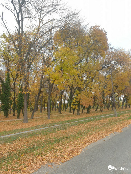 Sarkad