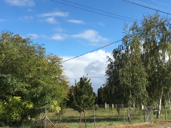 Észlelési fényképek