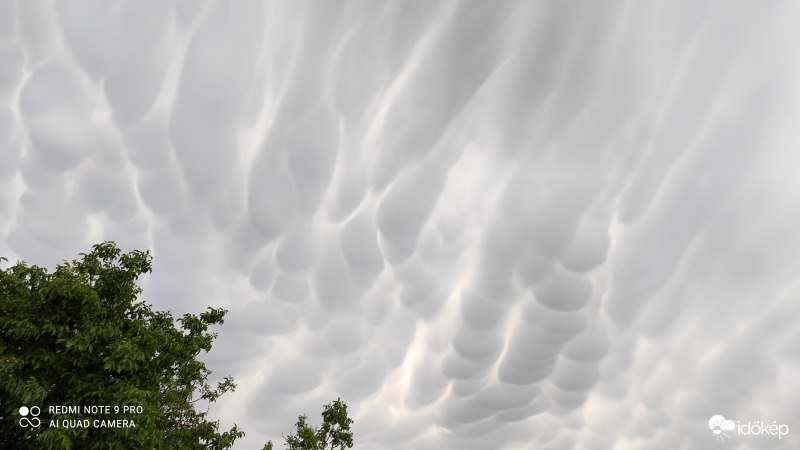 Észlelési fényképek