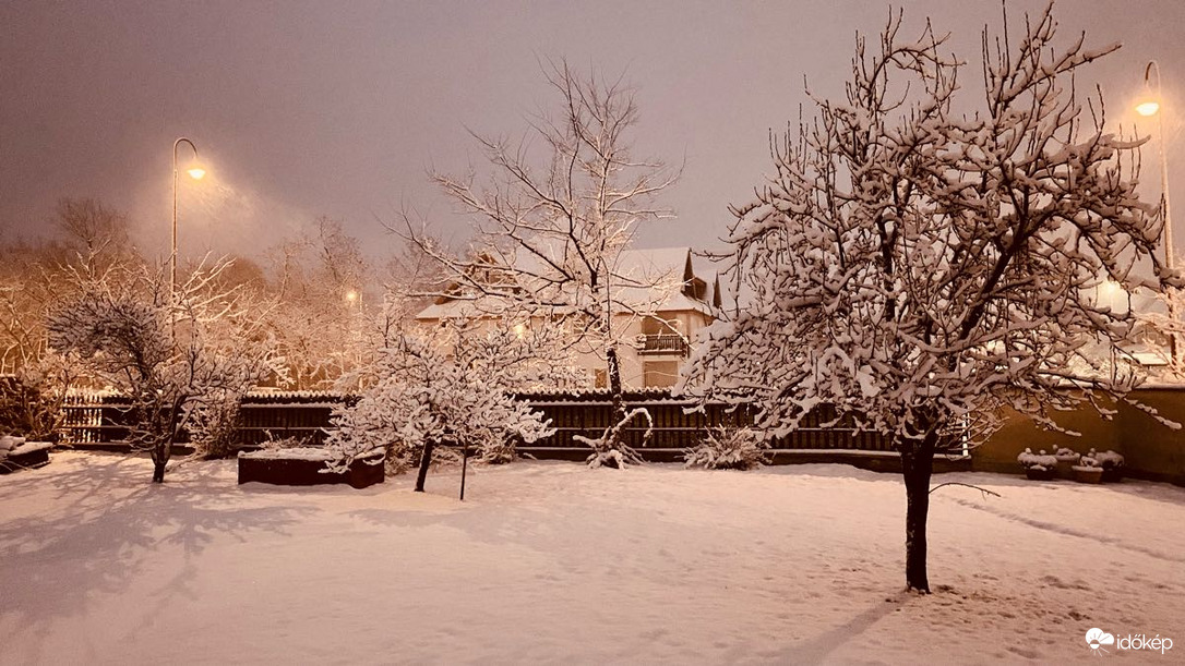 Észlelési fényképek