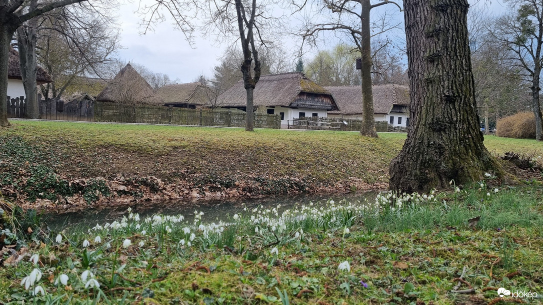 Zalaegerszeg