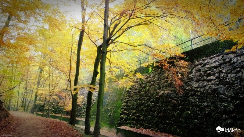 Kirándulás a Cuha völgyben