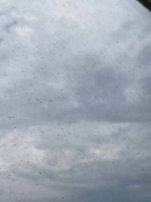 Észlelési fényképek