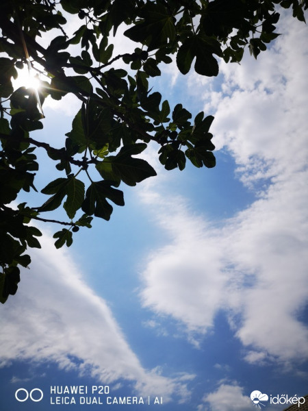 Észlelési fényképek