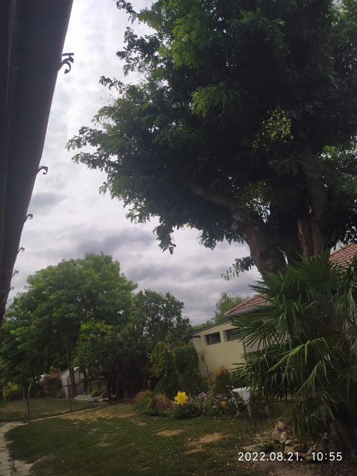 Észlelési fényképek