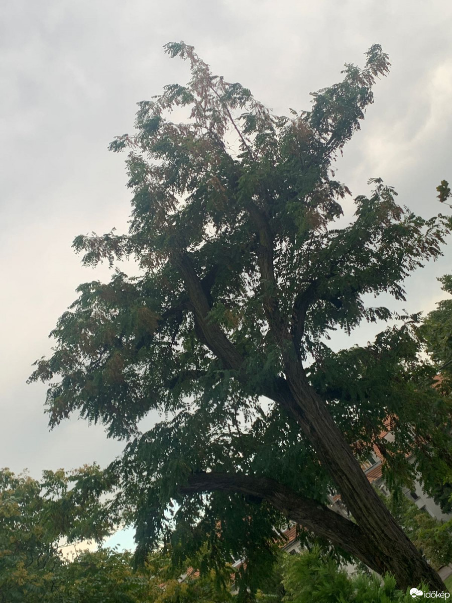 Budapest XIV.ker - Alsórákos