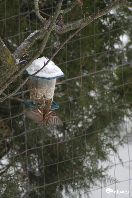 Ebédidő! Megérkeztem.
