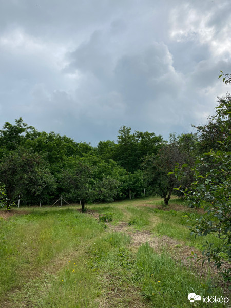 Észlelési fényképek