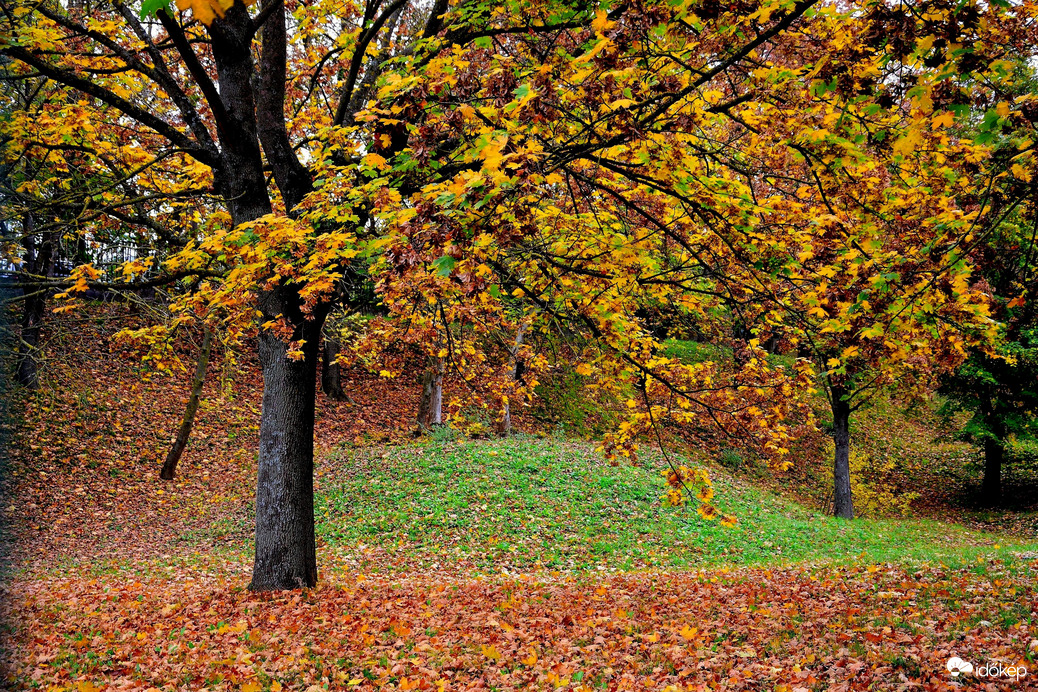 Zalaegerszeg