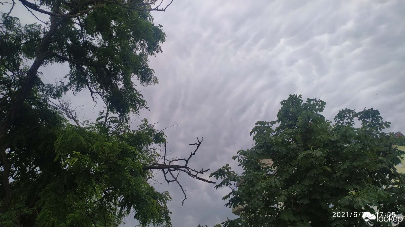 Észlelési fényképek