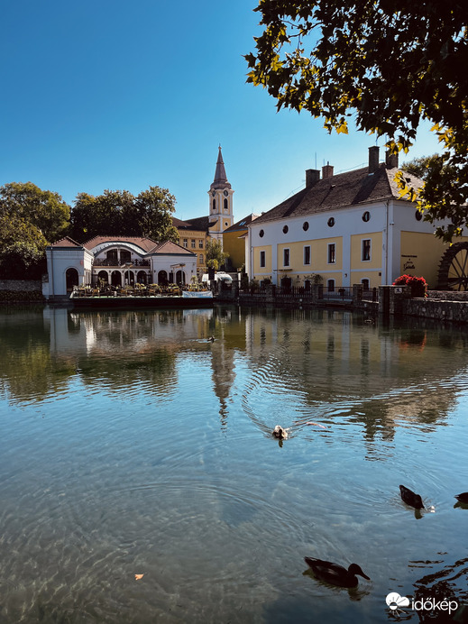 Természet