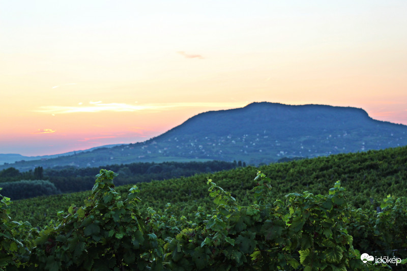 szőlősorok és a Szent György-hegy