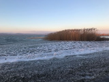 Balatonkenese