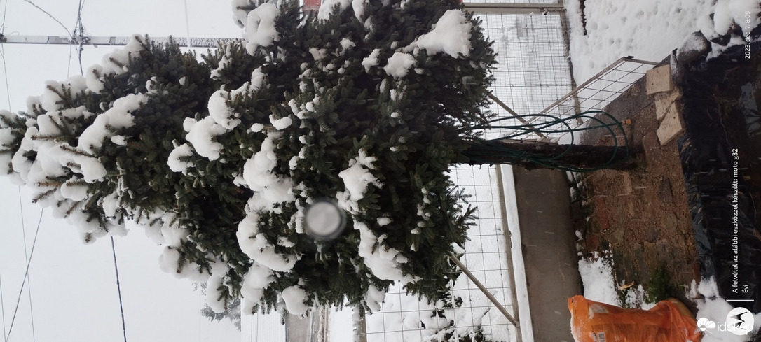 Észlelési fényképek