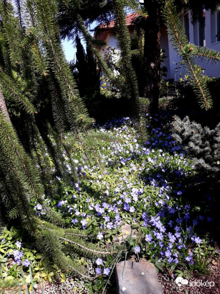 Kiskertemben jártam.