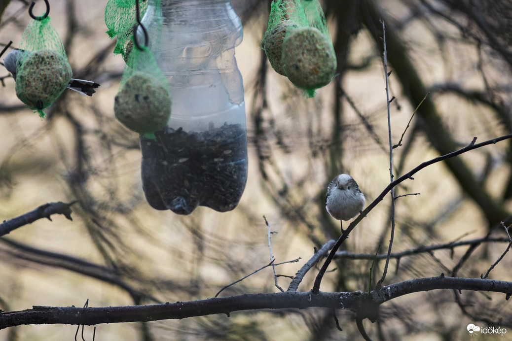 Most engem fotózol?