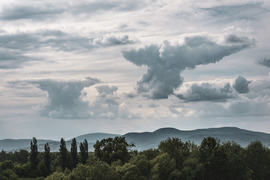 Gombafelhők