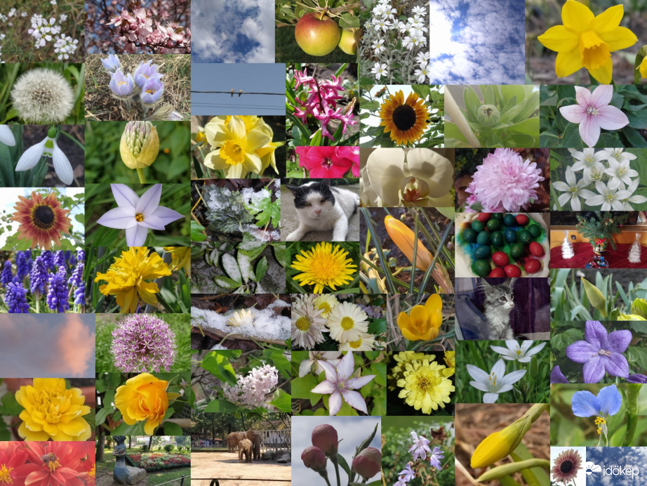 2021-es év kép összefoglaló