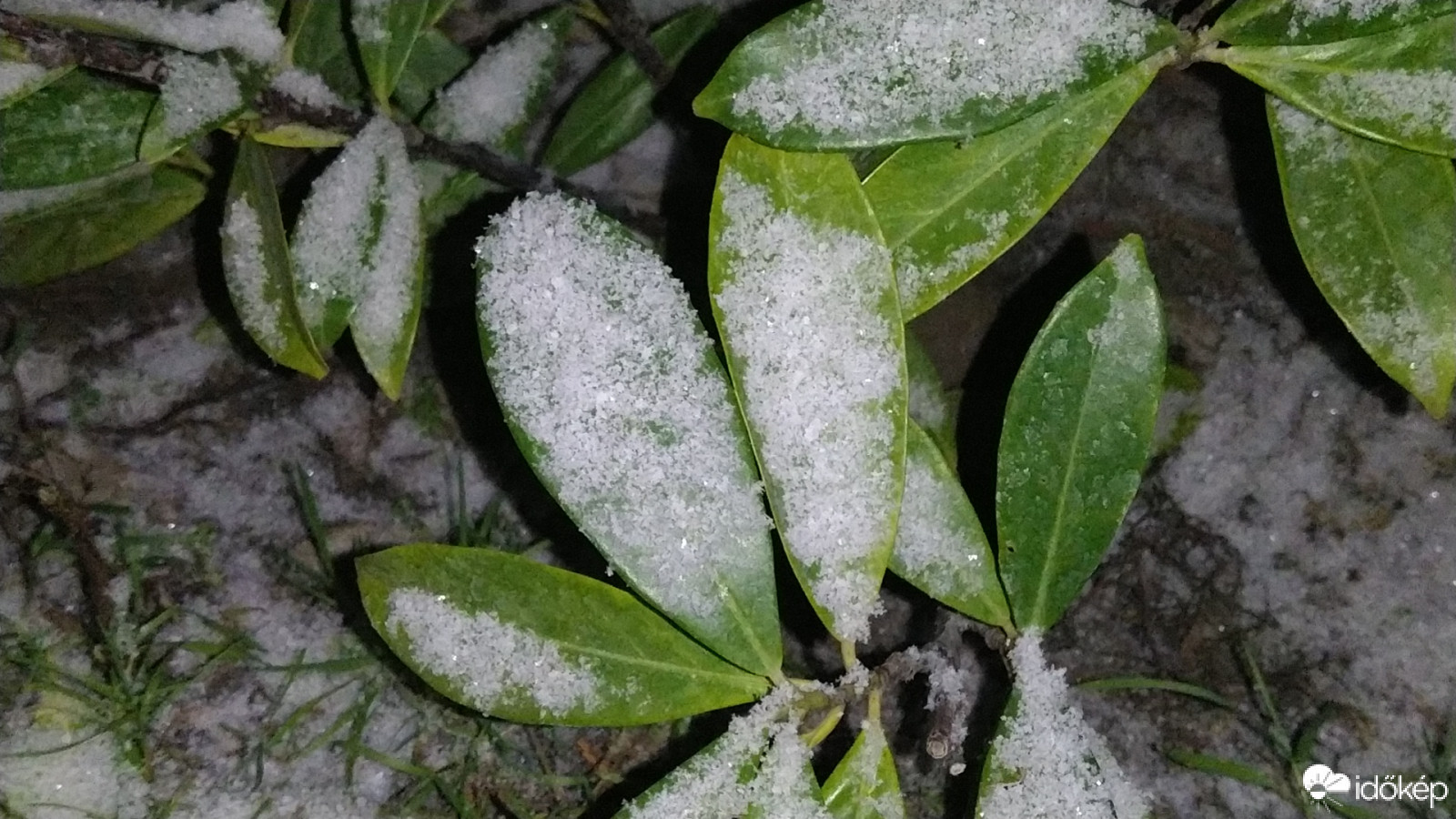 Kora hajnali hószállingózás